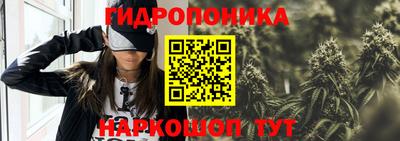 прущие крисы Волжский