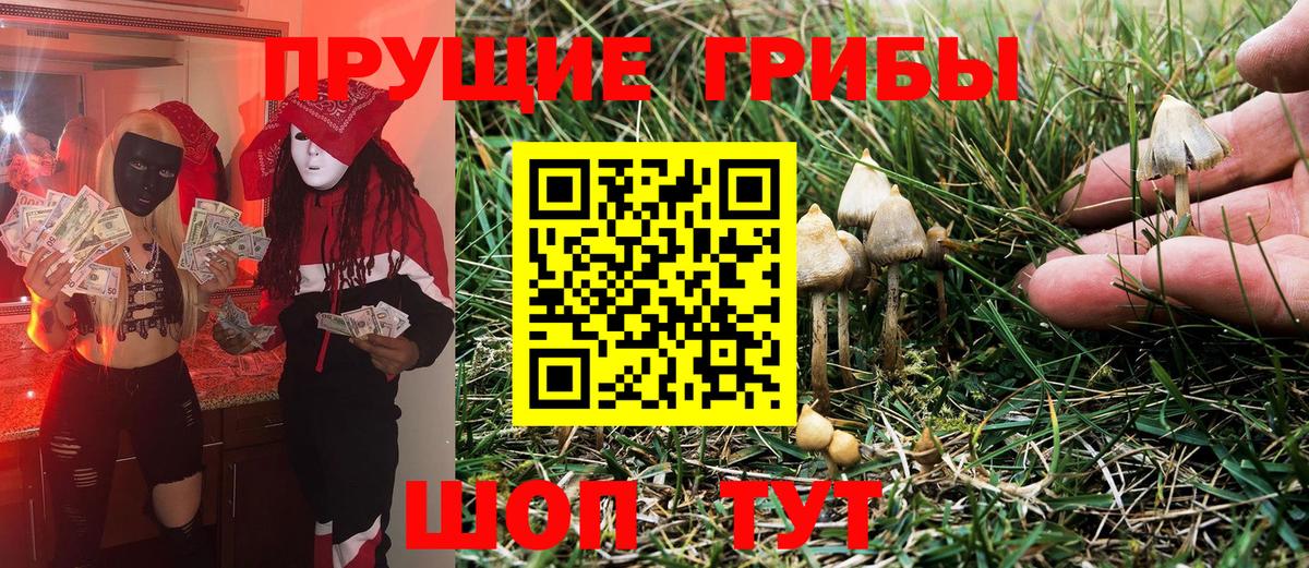 Псилоцибиновые грибы GOLDEN TEACHER Новоалтайск
